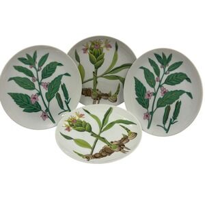 Vtg Horchow Japan Botanical Salad Plates Set of 4 Ginger & Sesame Plants 7.75"
